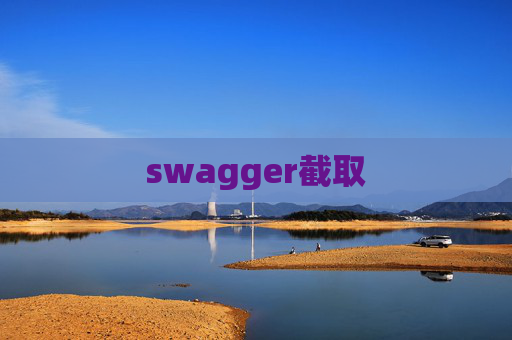 swagger截取